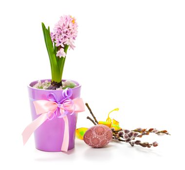 easter decoration on white background, with color egg and with pink hyacinth flowers