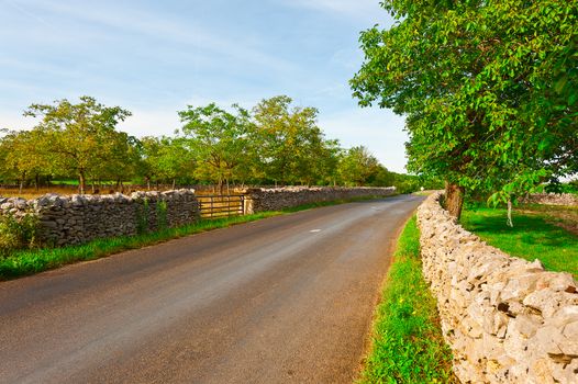 Asphalt Road along the Pasture Divided into Section by the Stone Wall