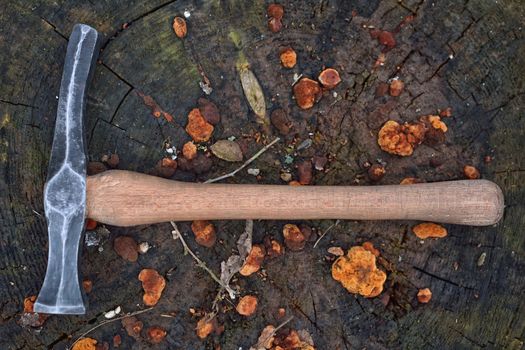 Hand made blacksmith hammer resting on an old stump