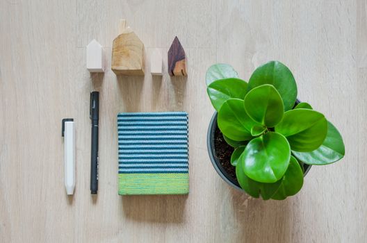 Top view of stationery and pepperomia plant on wood background