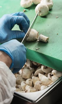 chef preparing food and cutting mushrooms in a restaurant kitchen