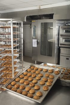 production of tasty cakes in the bakery