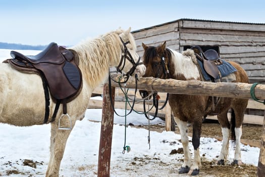 Tired horses after working on a farm