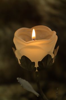 candle flame, burning in a candlestick in the form of a flower with rose petals