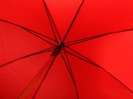 red striped umbrella,  down under viewed , studio shot