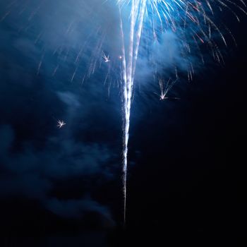 Colorful holiday fireworks on the black sky background.