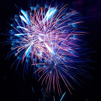 Blue and red colorful holiday fireworks on the black sky background.