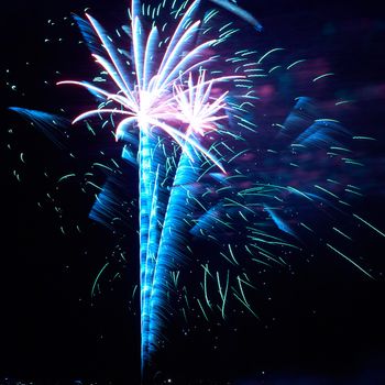 Blue and red colorful holiday fireworks on the black sky background.