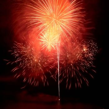 Colorful fireworks on the black sky background