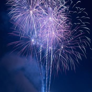 Colorful fireworks on the black sky background