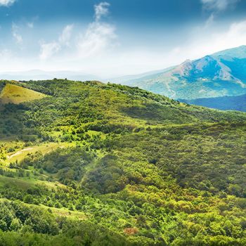 Green mountain covered with forest on the blue sky background. Panorama