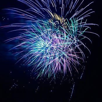 Blue and red colorful holiday fireworks on the black sky background.