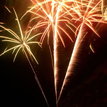 Colorful fireworks on the black sky background