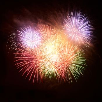 Colorful fireworks on the black sky background