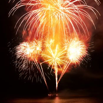 Colorful fireworks on the black sky background