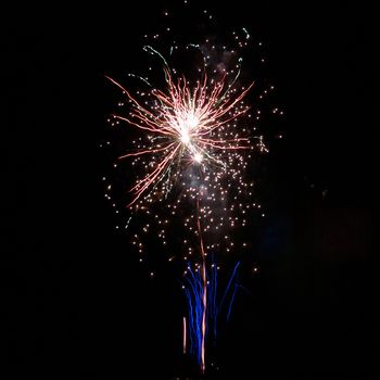 Blue colorful fireworks on the black sky background. Holiday celebration.