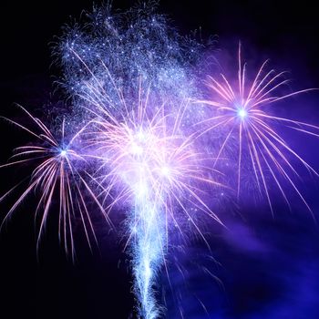 Blue colorful fireworks on the black sky background