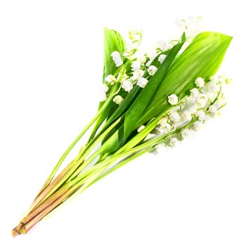 White flowers lilies of the valley isolated on white background