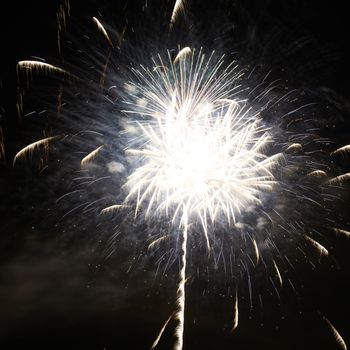 Colorful fireworks on the black sky background