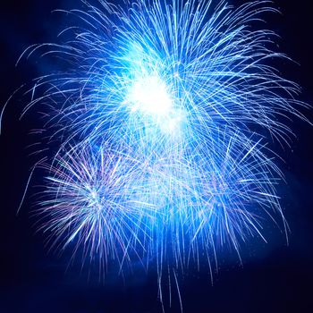 Blue colorful fireworks on the black sky background