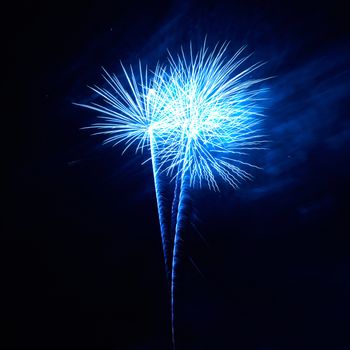 Blue colorful fireworks on the black sky background