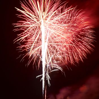 Red colorful fireworks on the black sky background