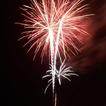 Red colorful fireworks on the black sky background