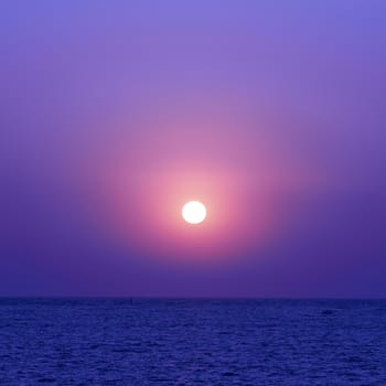 Beautiful sunset on the sea, red sun and flying seagulls