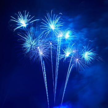 Blue colorful fireworks on the black sky background