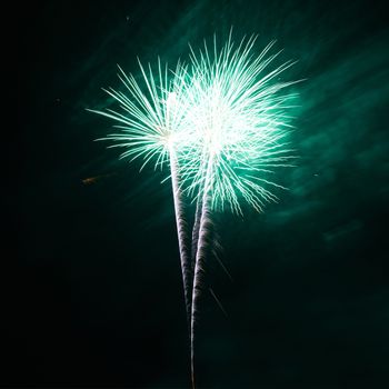 Green colorful fireworks on the black sky background