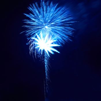 Blue colorful fireworks on the black sky background