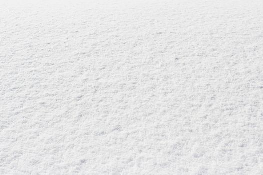 snowy crust, white background