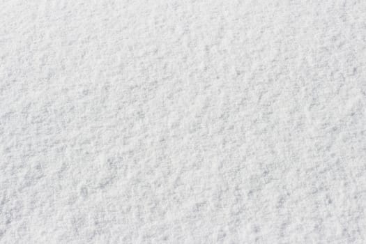 snowy crust, white background