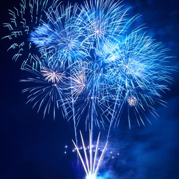 Blue colorful fireworks on the black sky background