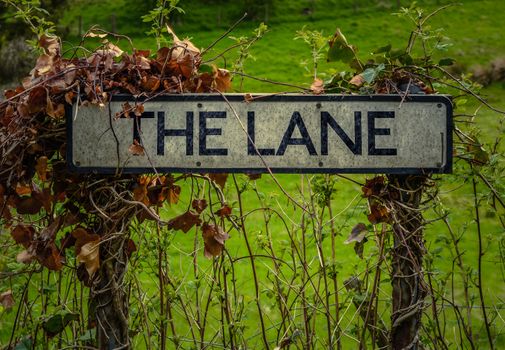 An Overgrown Rural Sign For The Lane