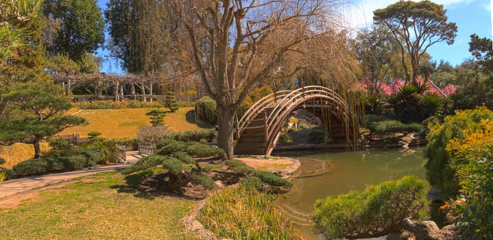 Japanese garden at the Huntington Botanical Garden with a pond and bridge in Southern California, United States.