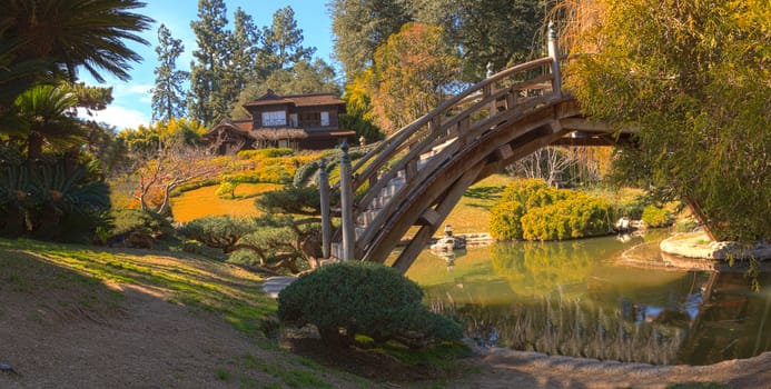 Japanese garden at the Huntington Botanical Garden with a pond and bridge in Southern California, United States.