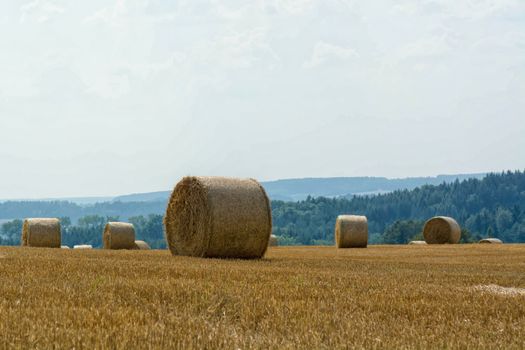 Mowed cornfield with straw bales and mountains in background