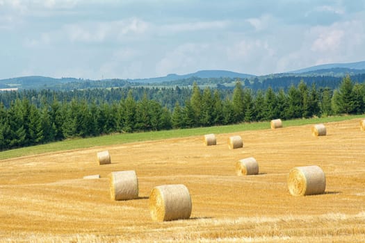Mowed cornfield with straw bales and mountains in background