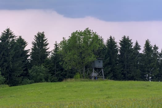 Hunting tree stand on the edge of the forest