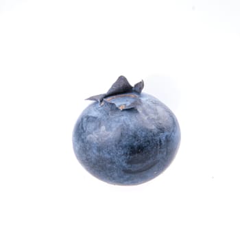 One blueberry isolated on white background