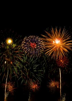 Colorful fireworks on the black sky background