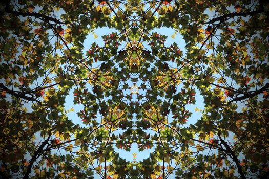 Fractal kaleidoscope background with images forming a star-shaped pattern