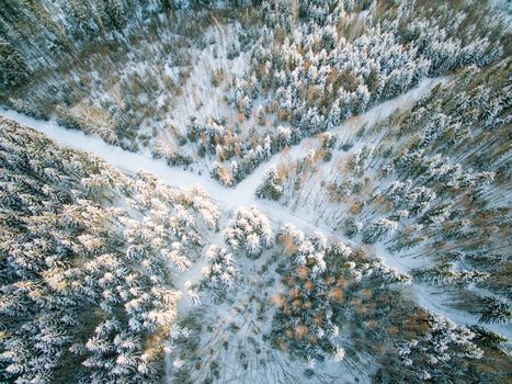Cross roads in the woods from above