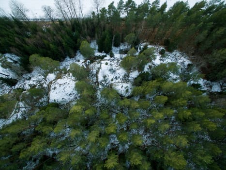 Bird's-eye view of forest in winter time