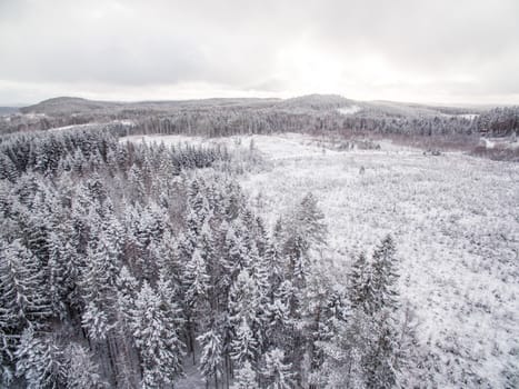 Snow covered hills and forest