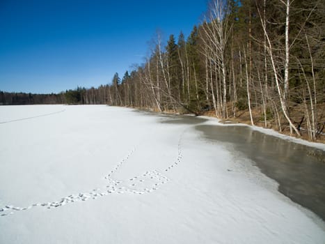 Frozen lake partially melted near the shore