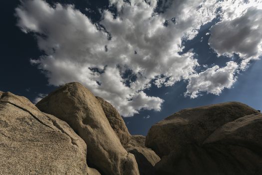 Landscape in Joshua Tree National Park, California