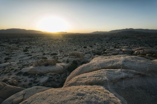 Landscape in Joshua Tree National Park, California