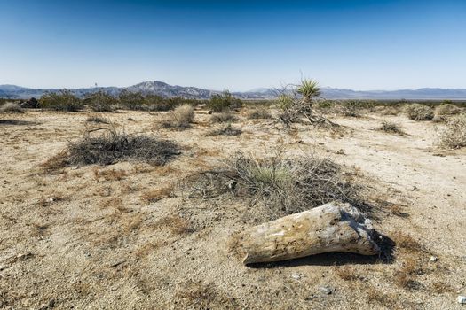 Landscape in Joshua Tree National Park, California